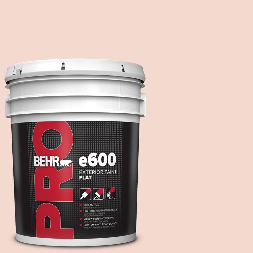 5 gal. #200E-1 Possibly Pink Flat Exterior Paint price history on PriceWatchPro