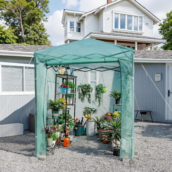 Tozey 8 ft. W x 6 ft. D Collapsible Metal Walk-In Greenhouse