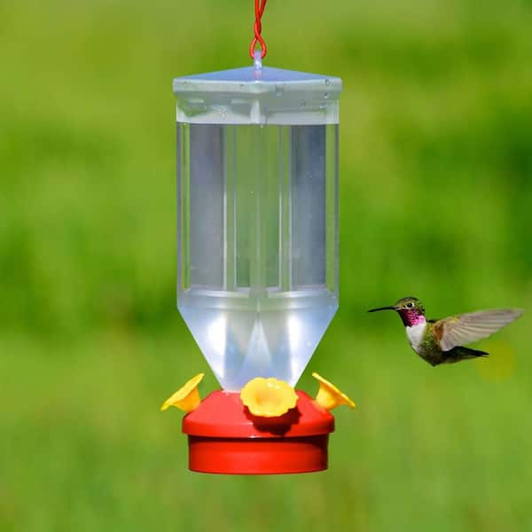 Nectar Feeders NEW Royal Wing Hummingbird Feeder Clear Glass with Red ...