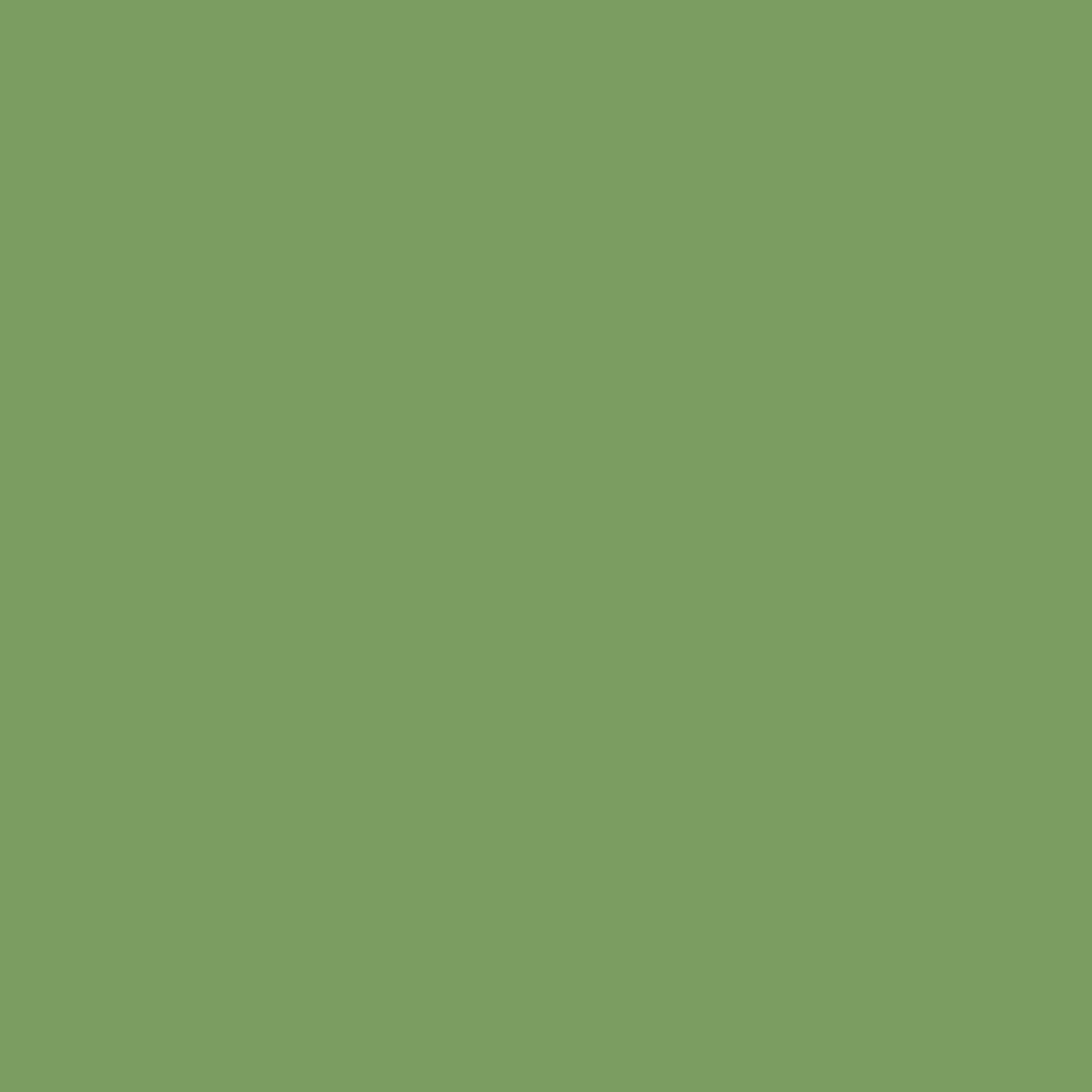 Verde Green Polyester Outdoor Chair Pad Seat Cushion Set