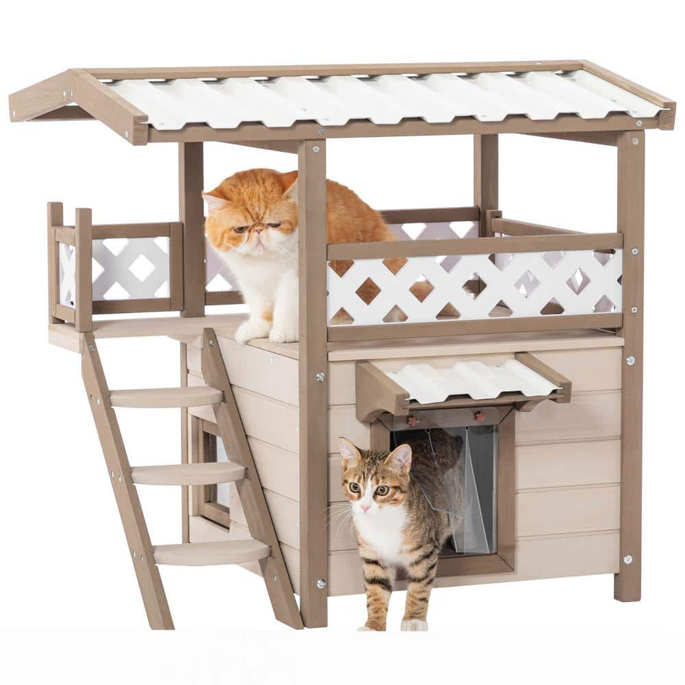 Miscool Anky Outdoor Cat House with Durable PVC Roof, Escape Door ...