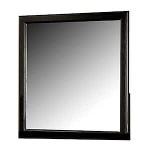 Louis Philippe III 38 in. x 1 in. Modern Square Framed Black Decorative Mirror