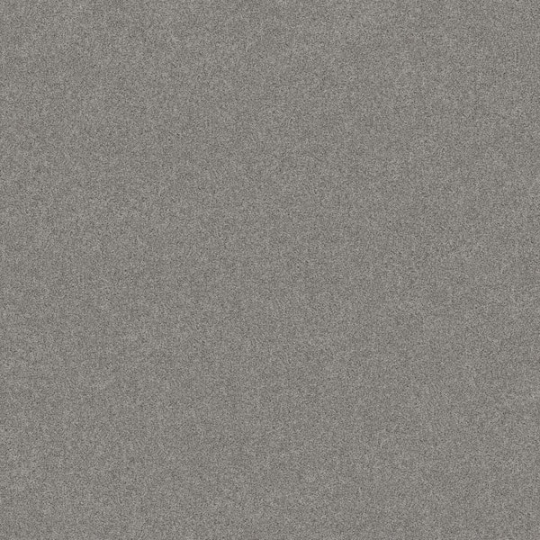 Lifeproof Coastal Charm II Color Shipwreck Gray 56 oz. Nylon Texture Installed Carpet