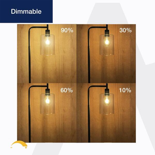 Gozelux Vintage LED Edison Bulbs, 6W, Equivalent 60W, High Brightness
