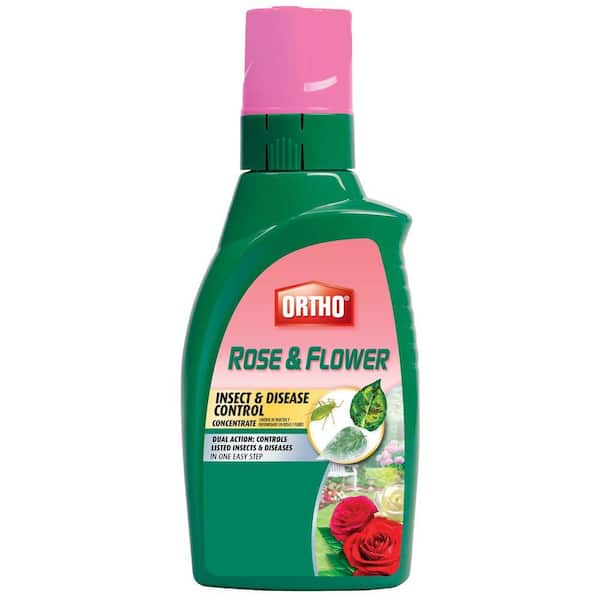 Ortho Rose and Flower 32 oz. Insect and Disease Control Concentrate