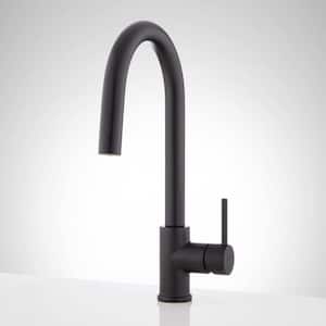 Ravenel Single Handle Pull Down Sprayer Kitchen Faucet in Matte Black