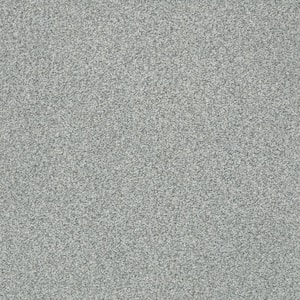 Karma I - Stonehenge - Gray 41.2 oz. Nylon Texture Installed Carpet