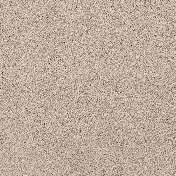 Lifeproof Around The World - Tassel - Brown 56.2 oz. Nylon Texture Installed Carpet
