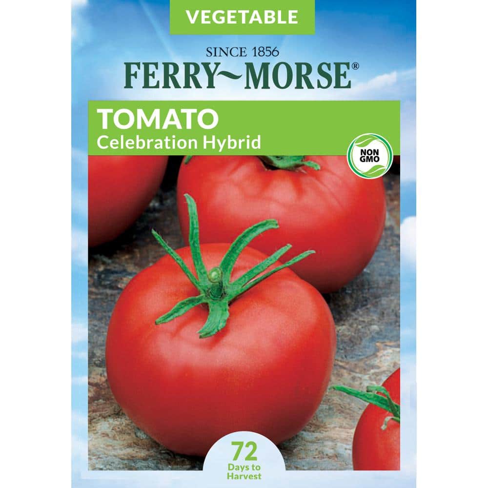 斎藤工　FC　A Seed Ferry-Morse Tomato Celebration Hybrid Pelleted Fruit Seed 9558