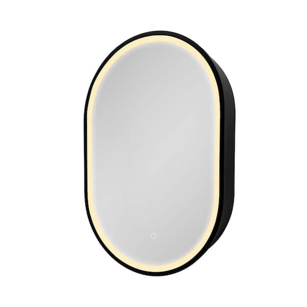 31 in. W x 21 in. H Oval Iron Surface Mount Bathroom Medicine Cabinet Anti-Fog Function 3-Color LED with Mirror