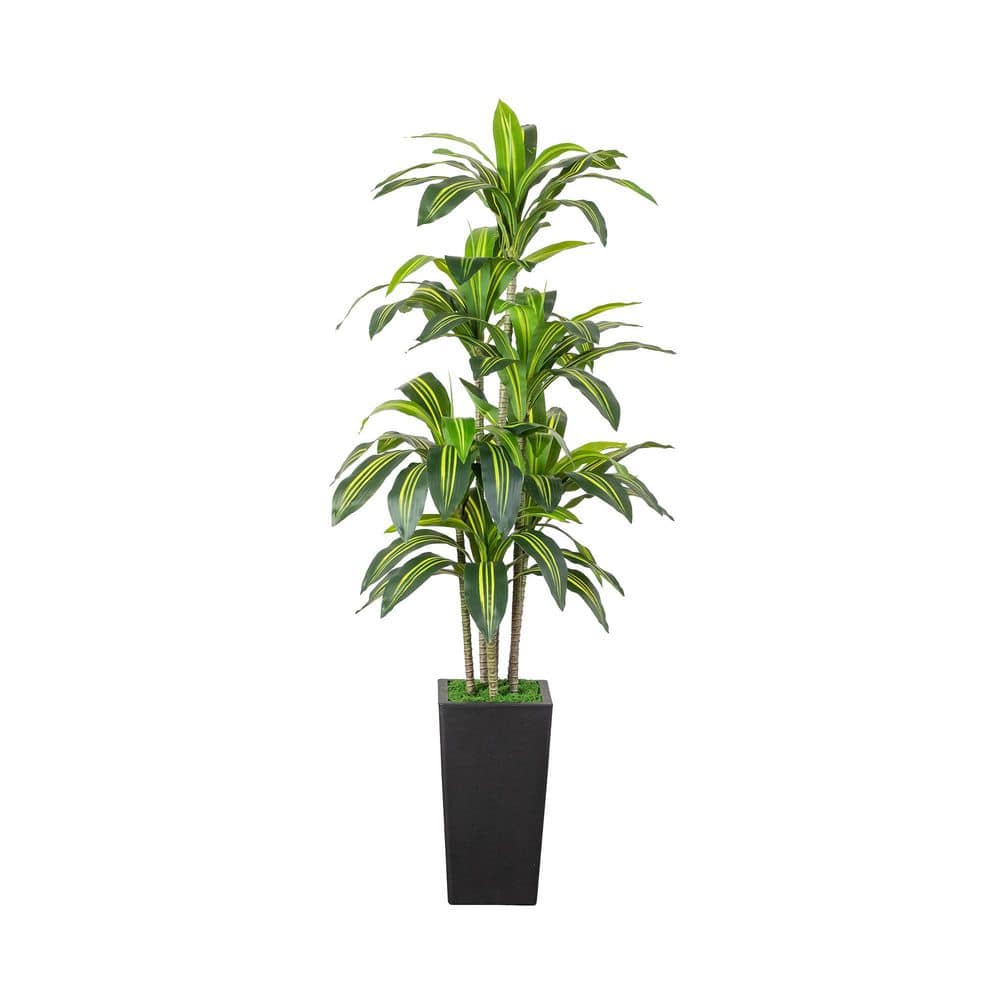 5 ft. Artificial Real Touch Dracaena Tree in Decorative Planter price history on PriceWatchPro