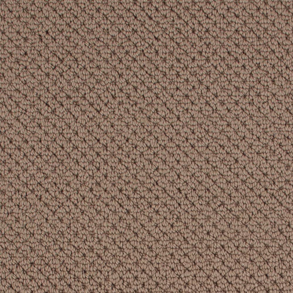 8 in. x 8 in. Pattern Carpet Sample - Abbotts Gate -Color Ziricote price history on PriceWatchPro
