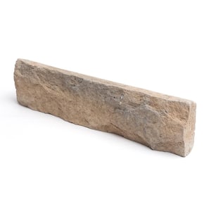 8 sq. ft. Desert Primary Flat Cment Stone