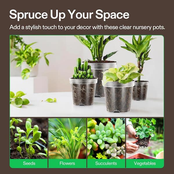 VIVOSUN 3/4/5/6 in. Clear Plastic Nursery Pots with Drainage Holes (40-Pack)