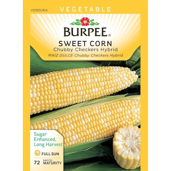 Burpee Corn, Chubby Checkers Hyb 54911 - The Home Depot