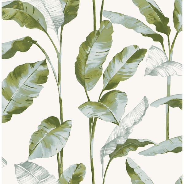 NuWallpaper Banana Leaf Green Matte Vinyl Peel and Stick Wallpaper Sample