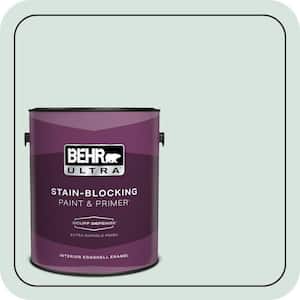 1 gal. #S420-1 New Day Extra Durable Eggshell Enamel Interior Paint & Primer