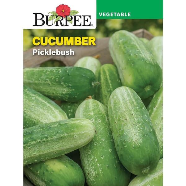 Cucumber Pickling Picklebush Vegetable Seed