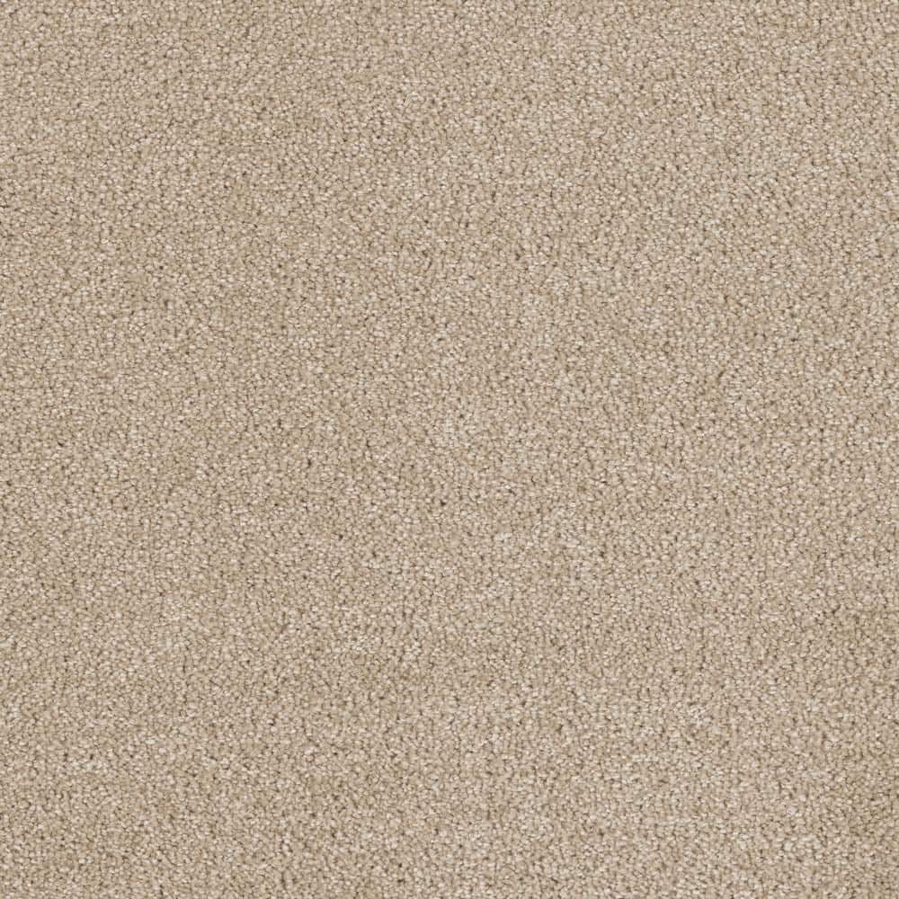8 in. x  8 in. Texture Carpet Sample - Moonlight -Color Luminous price history on PriceWatchPro