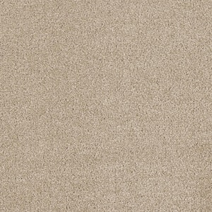 Moonlight  - Luminous - Beige 32 oz. SD Polyester Texture Installed Carpet