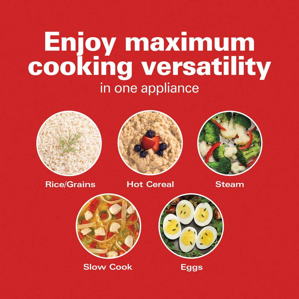 Compact Stainless Steel Multi Cooker with Digital Display and Timer