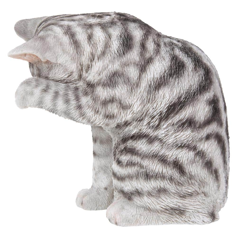 Gray Poly-resin American Shorthair Cat Washing Statue