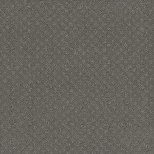 Camelia Lane - Grace - Gray 28 oz. SD Polyester Loop Installed Carpet