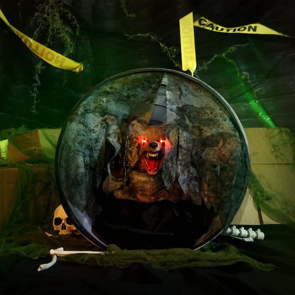 Haunted Hill Farm 24 in. LED Zombie Raccoon Halloween Animatronic
