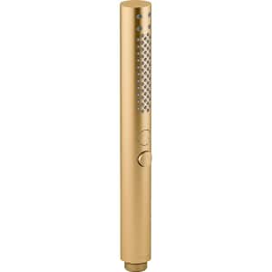 Shift Plus 2-Spray Patterns 1.13 in. Wall Mount Handheld Shower Head 1.75 GPM in Vibrant Brushed Moderne Brass
