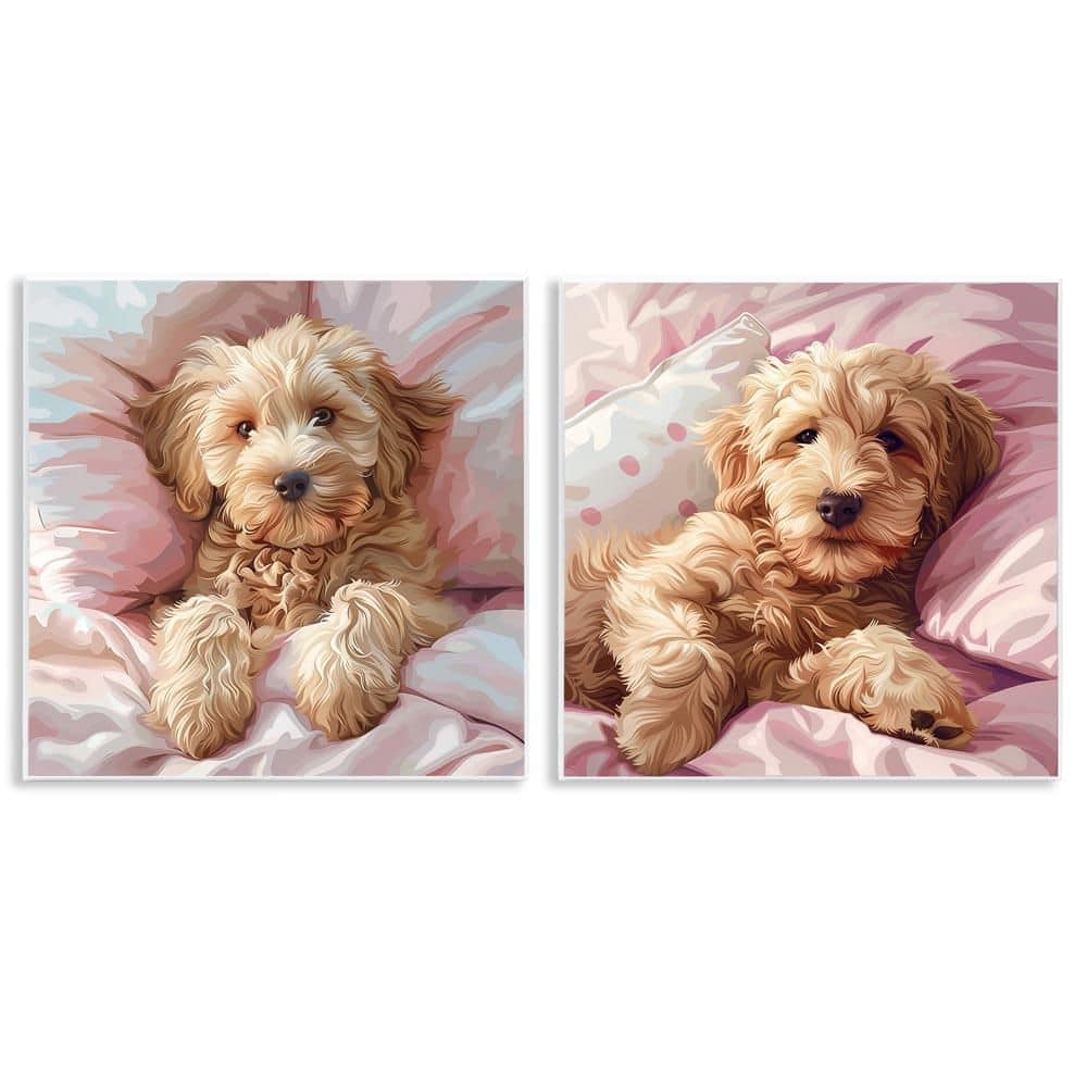 Cuddling Labradoodle in Bed by Jim Baldwin 2-Pieces Unframed Animal Graphic Art Print 12 in. x 12 in. price history on PriceWatchPro