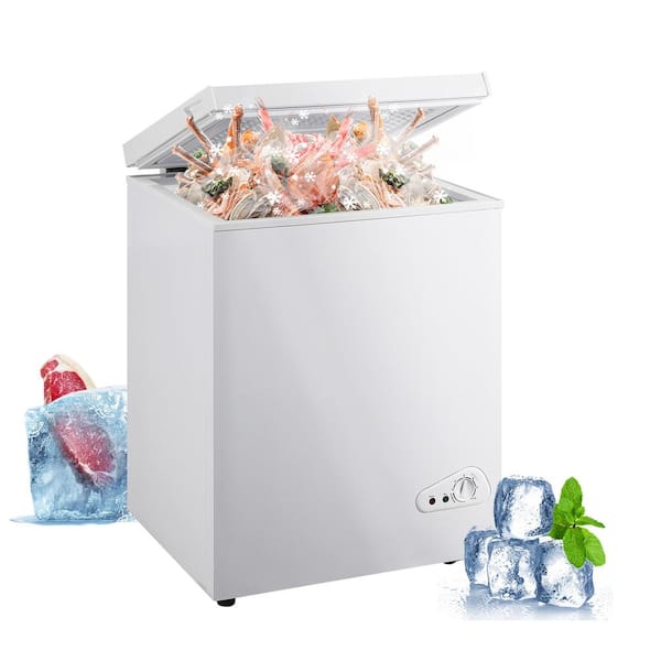 JEREMY CASS 21.06 in. W 2.8 cu. ft. Freezer Manual Defrost Chest Freezer with Adjustable Thermostat in White