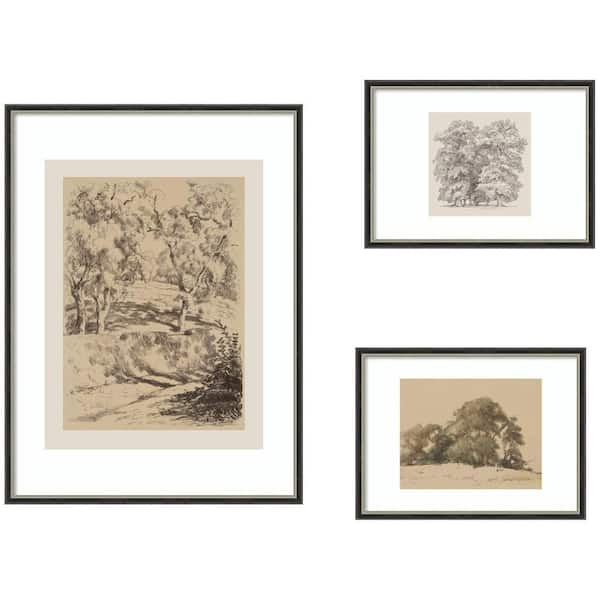 3-Piece Theo "Sketches of Nature" by Nostalgia Prints Trees Framed Art Print Set 36 in. x 49 in.