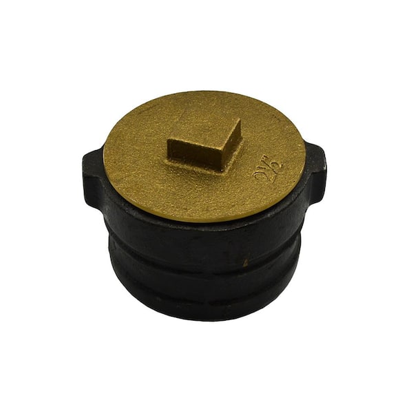 JONES STEPHENS 3 in. x 2-1/4 in. No Hub Cast Iron Cleanout with 2-1/2 in. New Orleans Code Plug for DWV