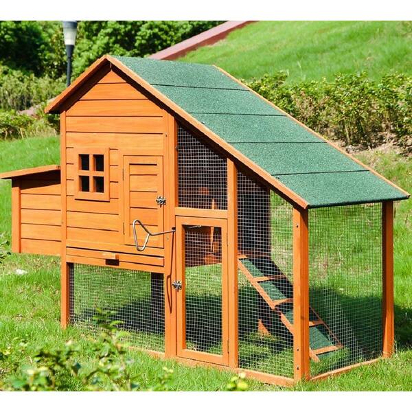 hexagonal rabbit hutch