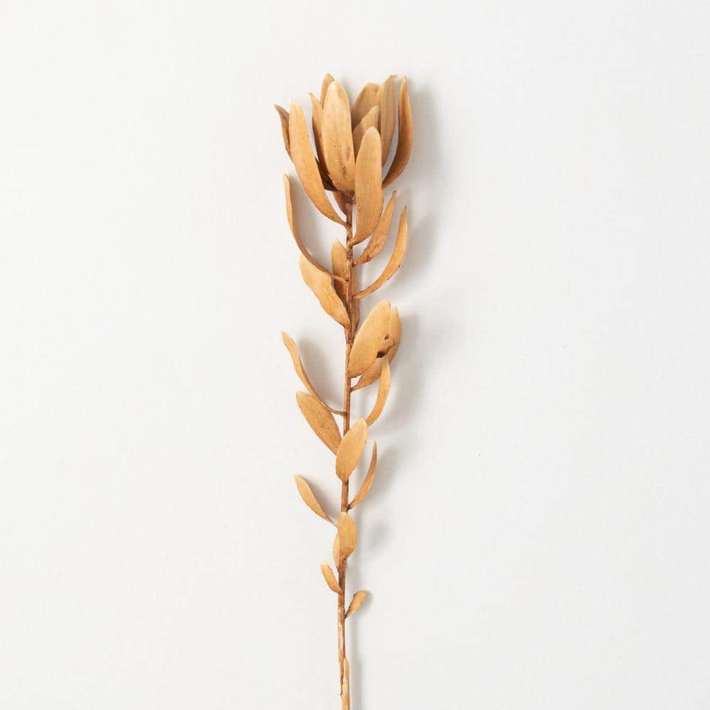 Sullivans 29 in. Artificial Subtle Brown Protea Spray