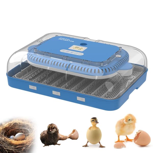 Huluwat 70-Egg Incubator with Automatic Turning, Humidity Control, Auto Humidification and Temp Regulation for Farm, Lab Use