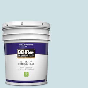 5 gal. #530E-2 Cool Sky Ceiling Flat Interior Paint