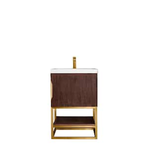 Columbia 23.6 in. W x 18.1 in. D x 35.4 in. H Bath Vanity in Coffee Oak with White Glossy Top