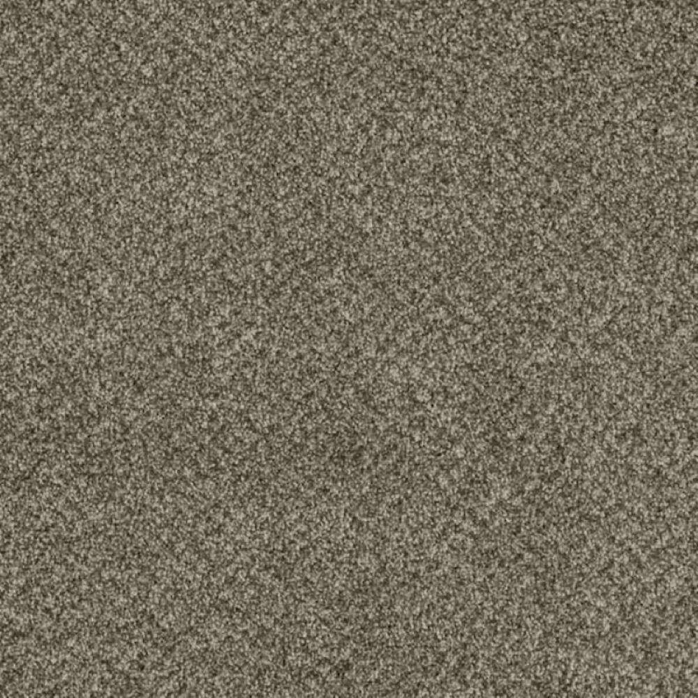 8 in. x 8 in. Texture Carpet Sample-Trestle II-Color Truss price history on PriceWatchPro