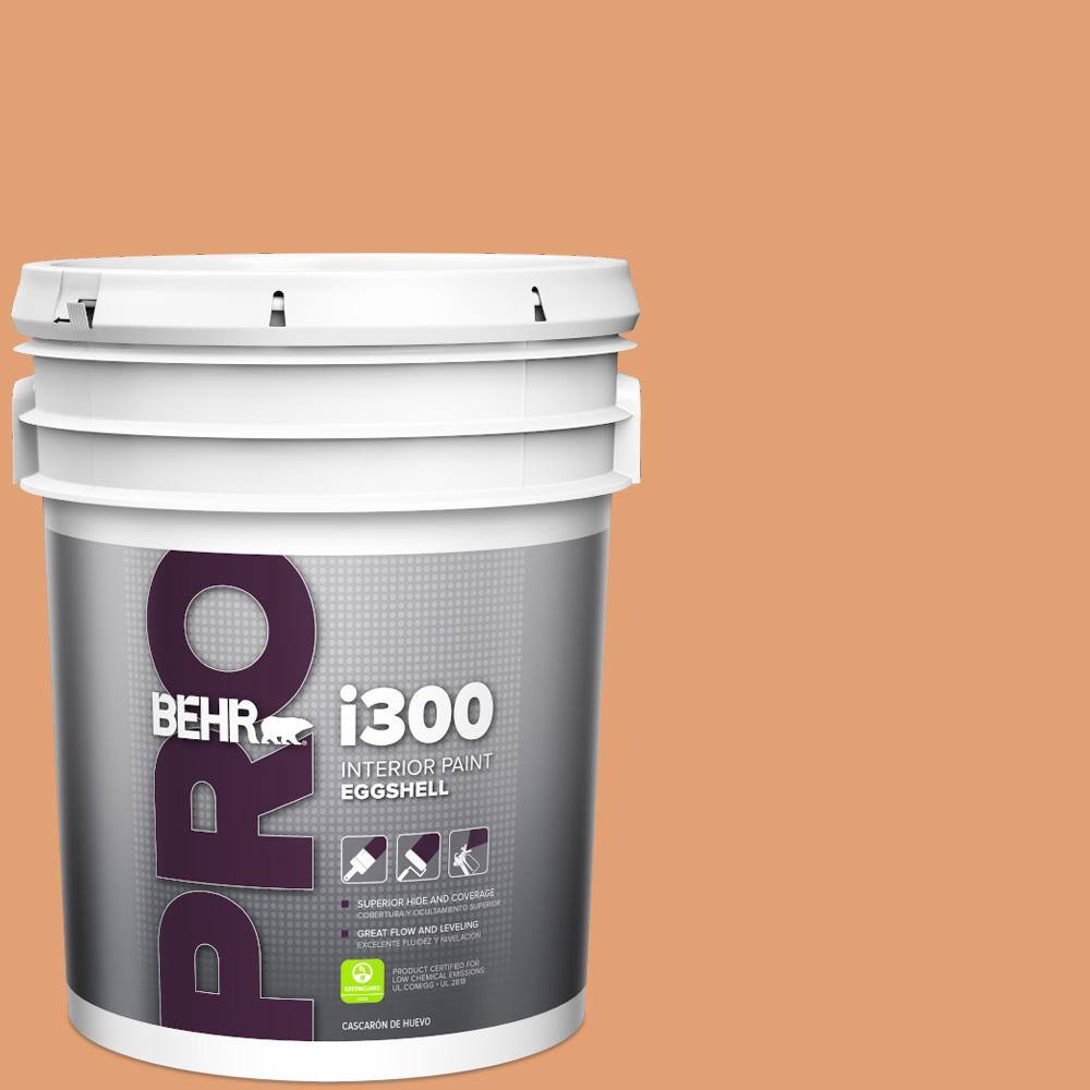 5 gal. #M220-5 Roasted Seeds Eggshell Interior Paint price history on PriceWatchPro