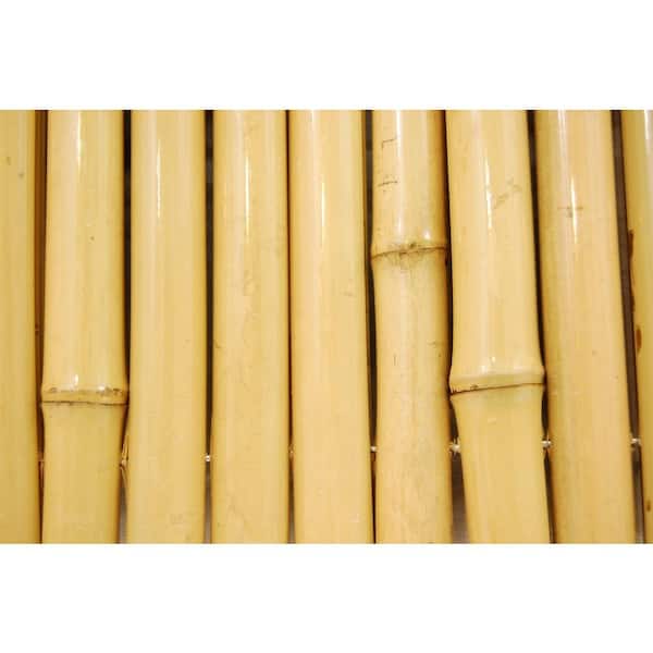 capped bamboo
