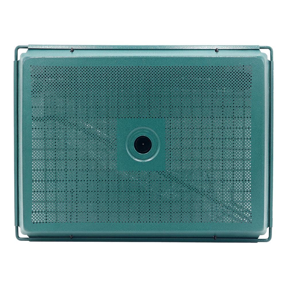 Green Metal Hanging Platform Bird Feeder with Removable Grid