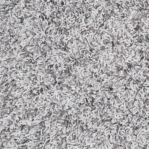 Platinum Plus Carpet Sample - Royal Step - In Color Silver Birch 8 in. x 8 in.