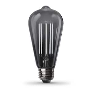 60-Watt Equivalent ST19 Dimmable Straight Filament Smoke Glass Vintage Edison LED Light Bulb, Daylight