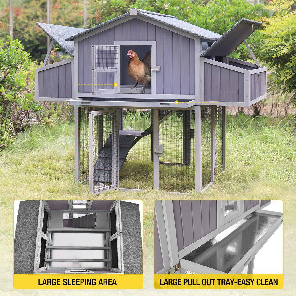 Gray and Purple Foldable Wooden Chicken Coop with Nesting Boxes