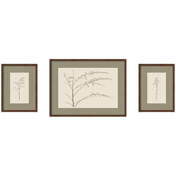 3 Piece Carlisle Botanical Sketch Olive by Stephanie Klatt Flowers Framed Art Print Set 24 in. x 72 in.