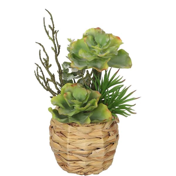 Unbranded 10 in. Large Artificial Succulent Arrangement in Wooden & Woven  Pots for Indoor Home Decor ENHD30996