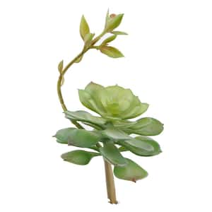 Set of 6 Artificial Echeveria Lola Succulent Plant