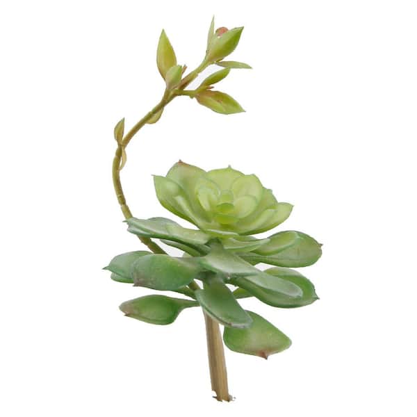 Flora Bunda Set of 6 Artificial Echeveria Lola Succulent Plant