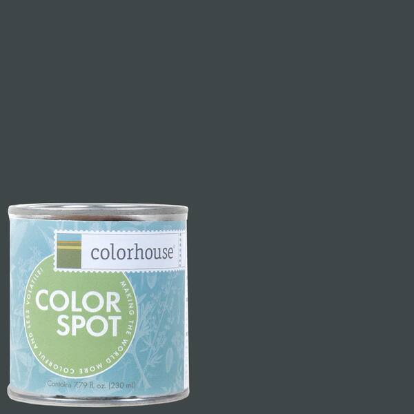 Colorhouse 8 oz. Metal .06 Colorspot Eggshell Interior Paint Sample